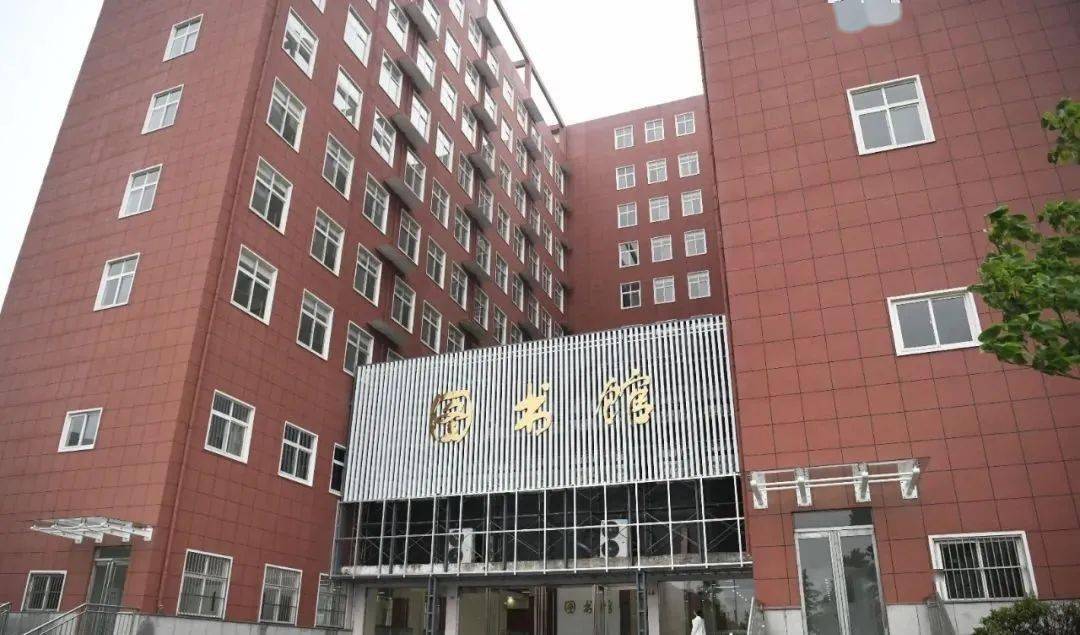上海物流招聘最新消息，行業(yè)繁榮與職業(yè)發(fā)展的交匯點(diǎn)