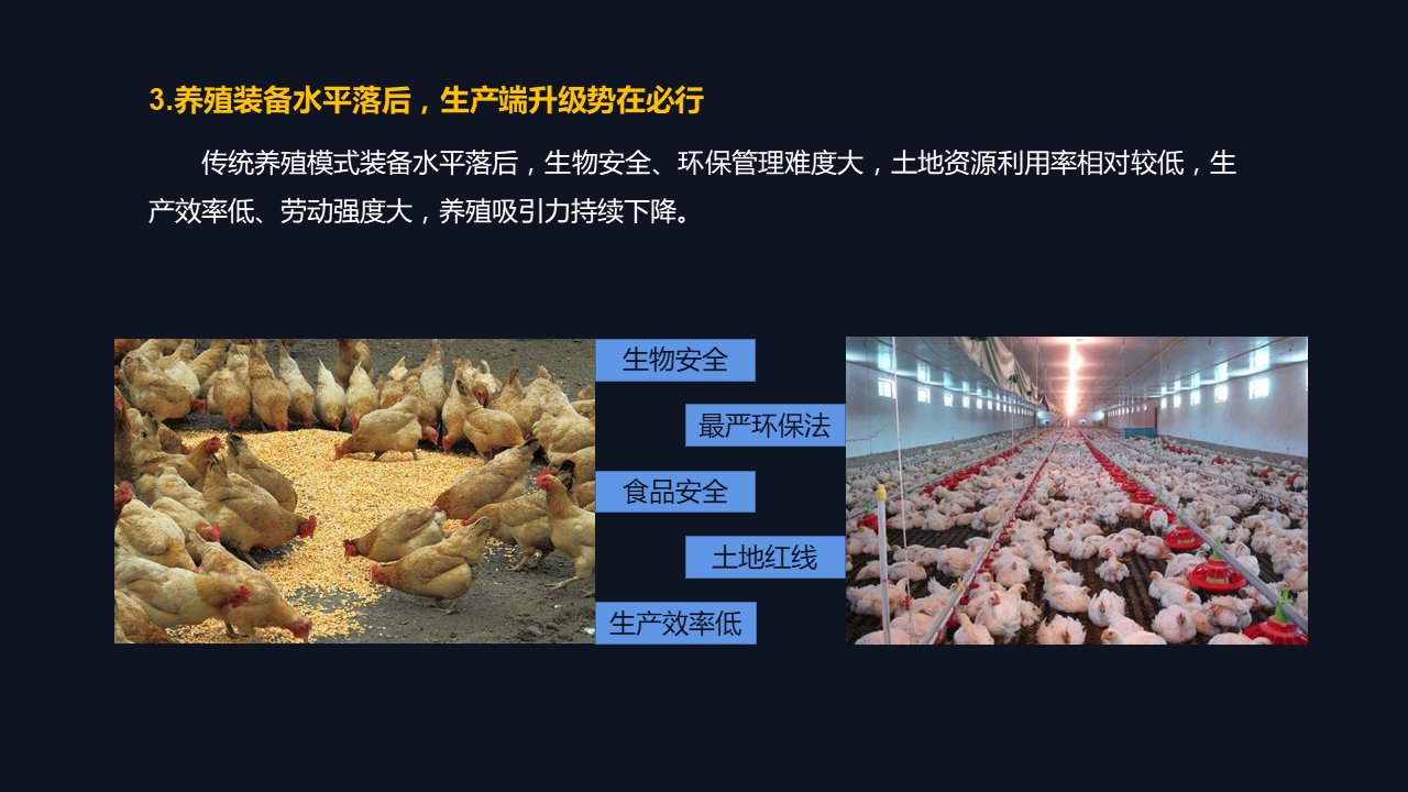 雞病專業(yè)網(wǎng)最新論壇，探討禽病防控技術與行業(yè)發(fā)展趨勢