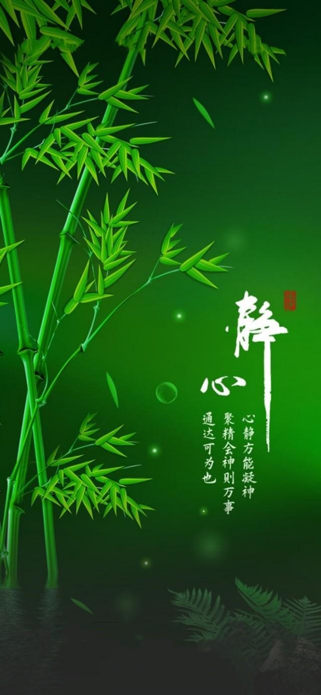 中國環(huán)保治理最新消息，邁向綠色發(fā)展的堅定步伐