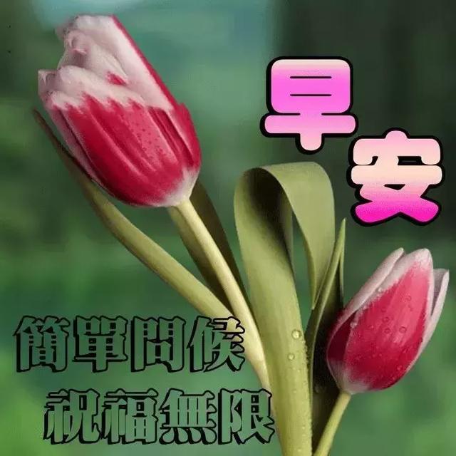 最新早上好表情圖，開(kāi)啟美好一天的溫馨問(wèn)候