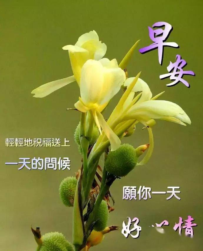 早安問候語，迎接美好的新一天——2017年最新問候語精選