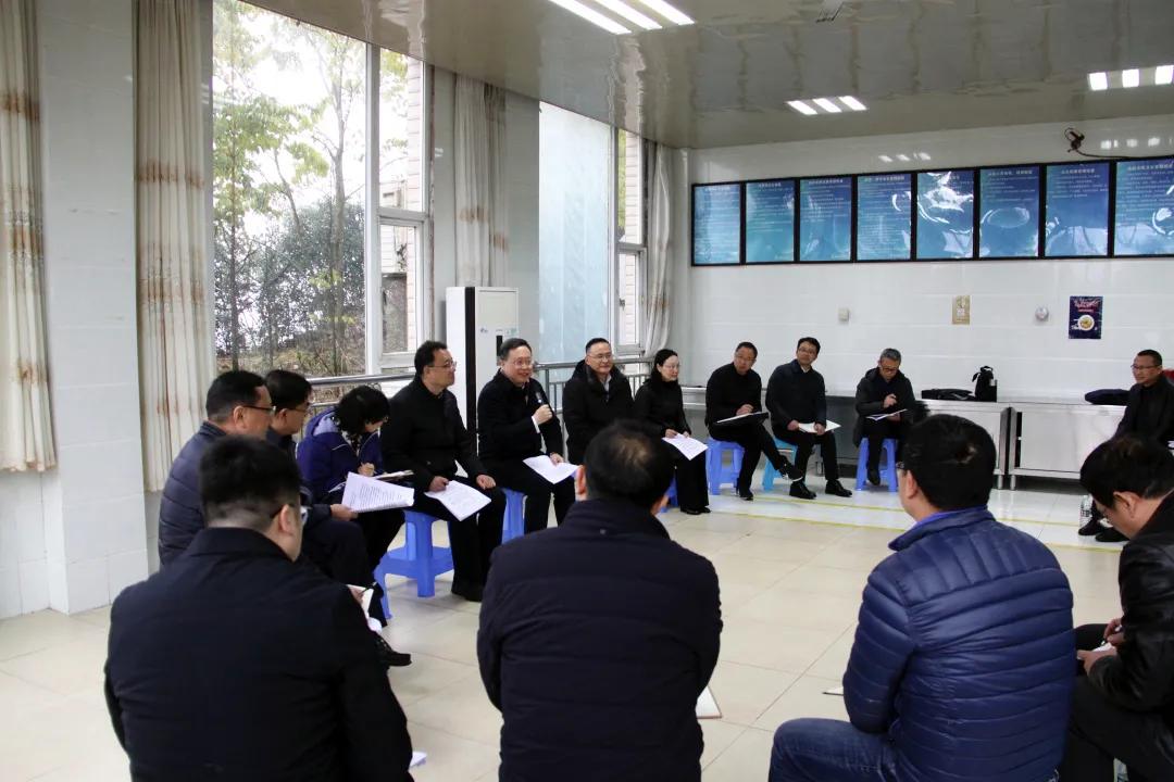 老鷹巖水電站最新動(dòng)態(tài)，進(jìn)展、影響與展望