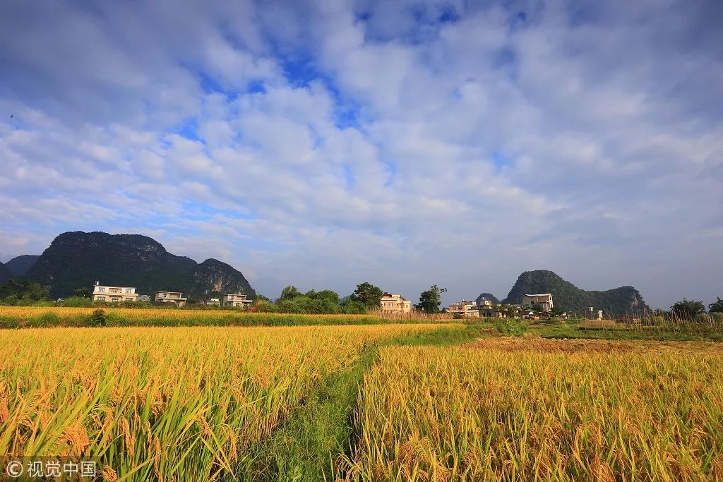 井岡山旅游上市最新動(dòng)態(tài)，發(fā)展機(jī)遇與挑戰(zhàn)并存