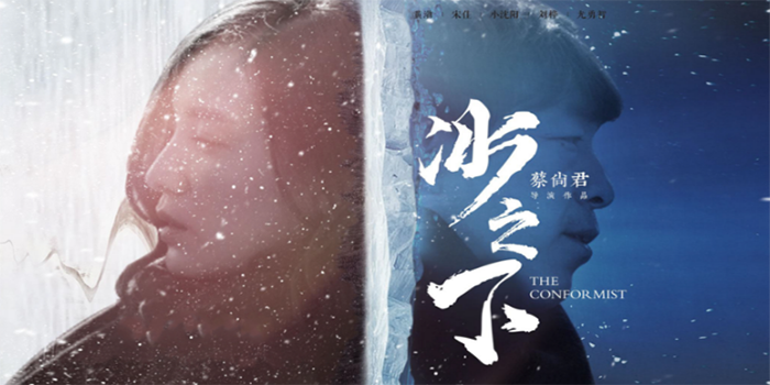 楚離余向晚最新章節(jié)，命運的交織與情感的碰撞