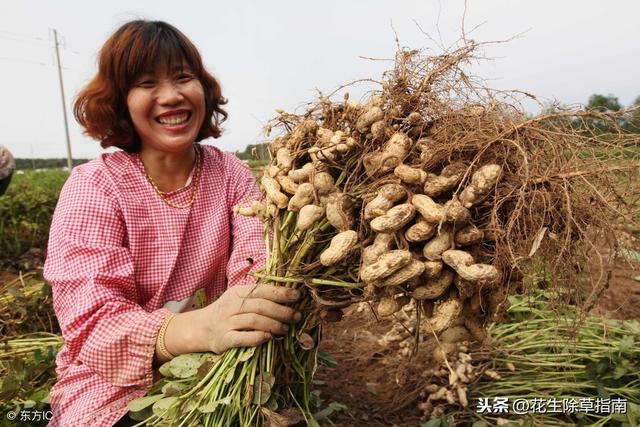 生產(chǎn)廠家 第7頁