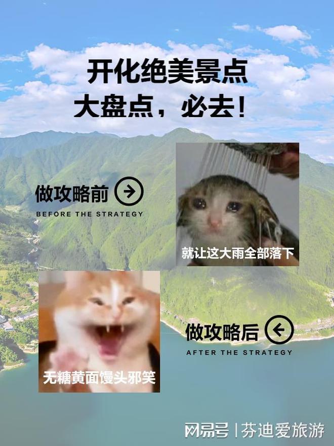 文德公園最新動(dòng)態(tài)，一場自然與人文的交響樂章
