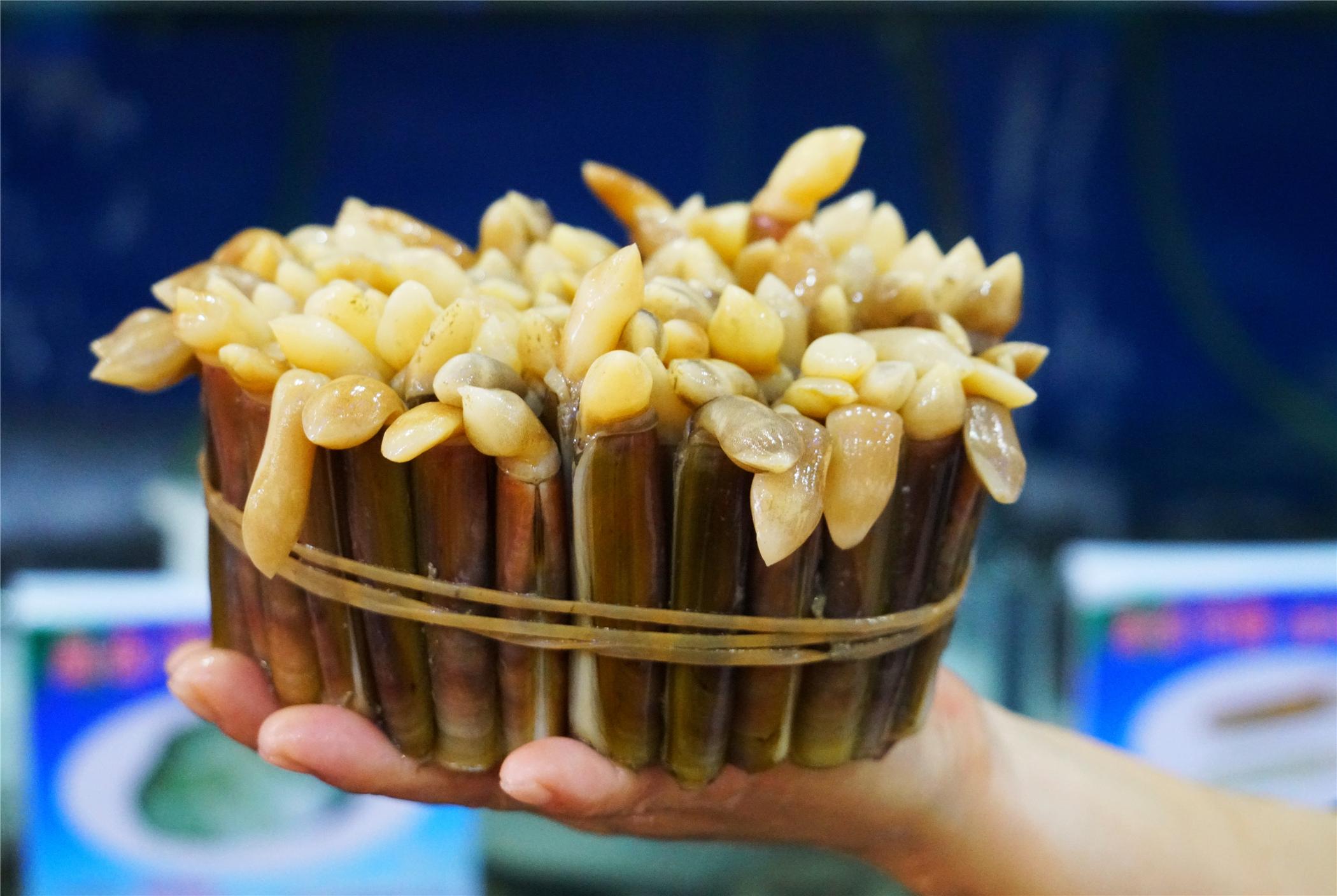 三亞最新景點(diǎn)探索，熱帶風(fēng)情的新面貌