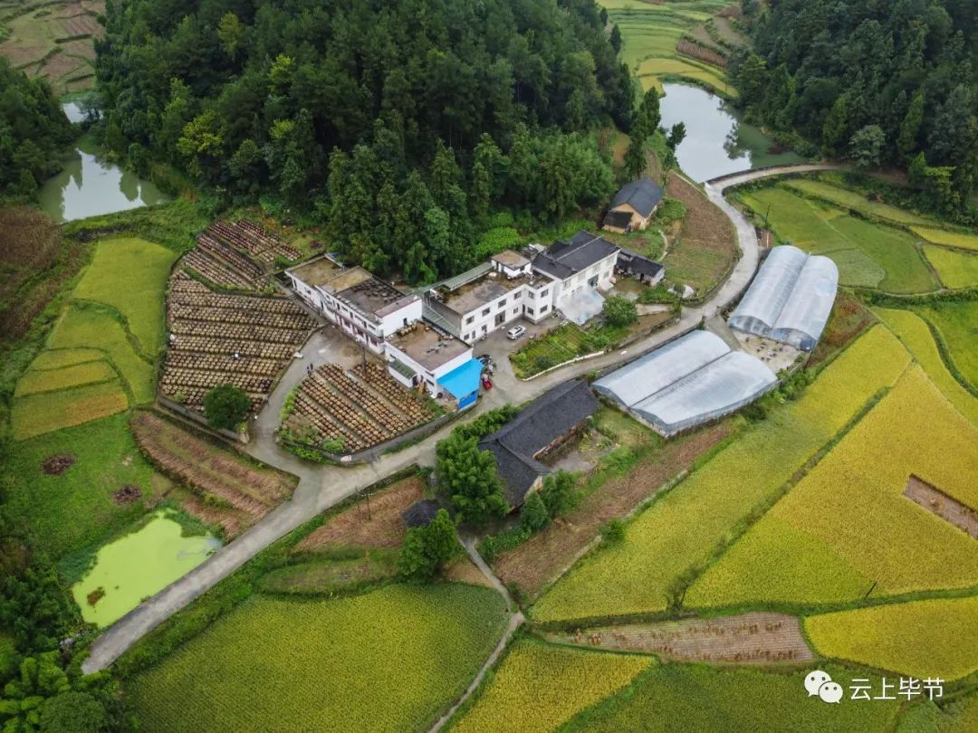 畢節(jié)田壩橋鎮(zhèn)最新規(guī)劃，打造未來田園新典范