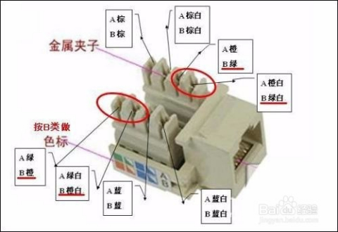 最新網(wǎng)線插座接法視頻教程，一步步教你如何正確接線