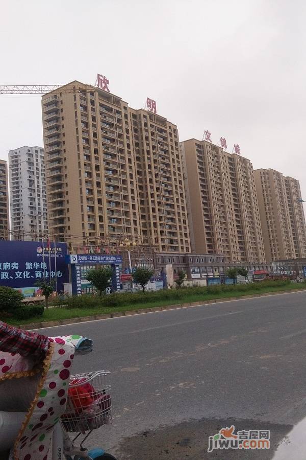 王浩若欣